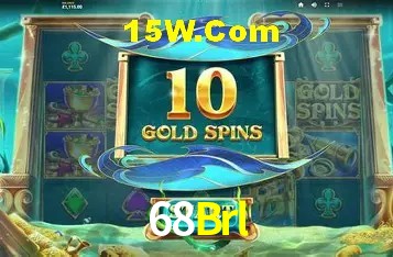 68Brl - Support